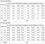 Black Mesh Patchwork V Neck Half Sleeve Bodycon One Piece Swimwear