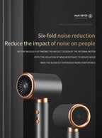 Professional Hair Dryer Hot Cold Wind Air Brush