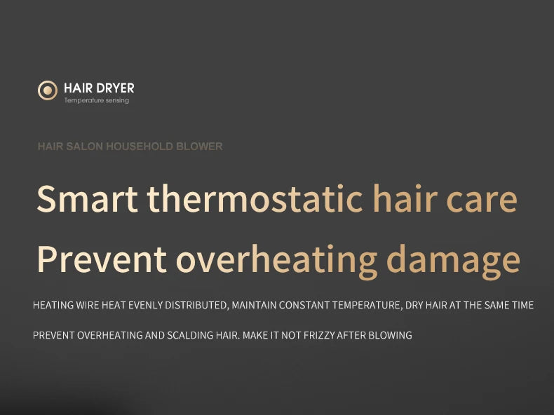 Professional Hair Dryer Hot Cold Wind Air Brush