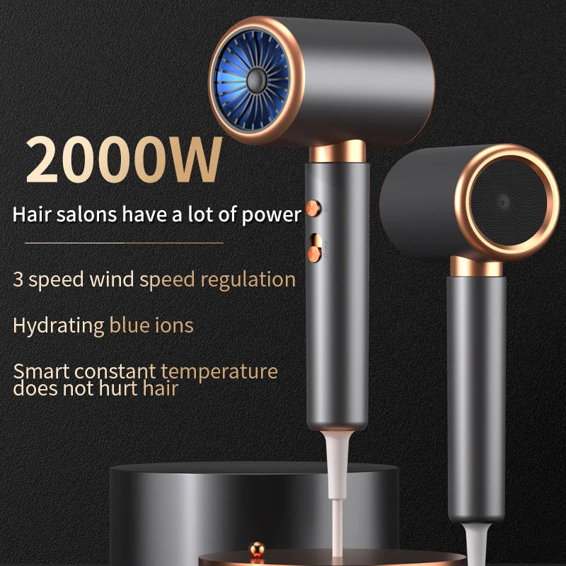 Professional Hair Dryer Hot Cold Wind Air Brush
